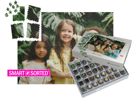 SMART SORTED Photo Puzzle 1000 pieces completed with box